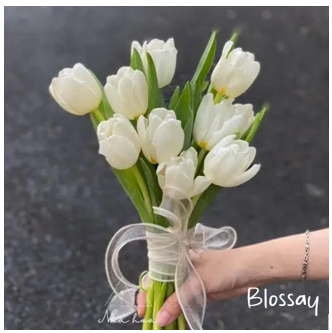 hoa-tulip-dep-shop-hoa-tuoi-tphcm