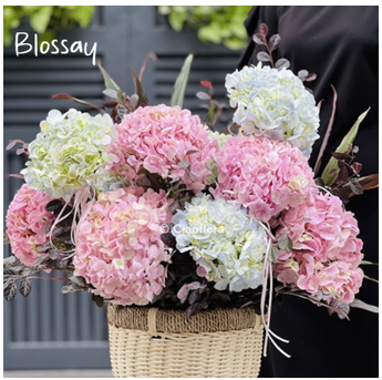 bo-hoa-cam-tu-cau-shop-hoa-tuoi-tphcm